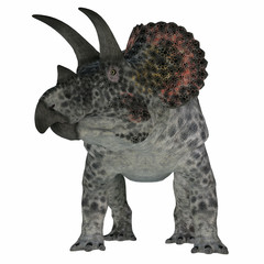 Triceratops Dinosaur on White - Triceratops was a herbivorous Ceratopsian dinosaur that lived in North America during the Cretaceous Period. © Catmando