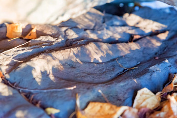 Petroglyphs of the Bronze Age of Yamnaya culture
