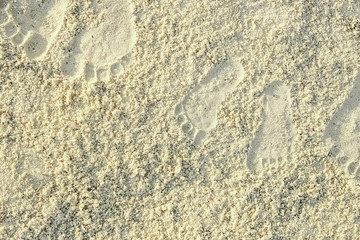 beautiful footprints in the sand by the sea background