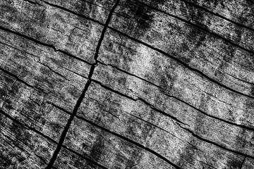 Fototapeta premium Wood abstract