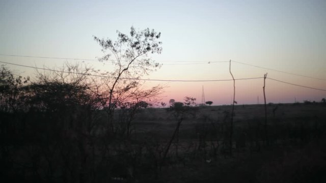 Dusk on dry savanna desert, India, long shot