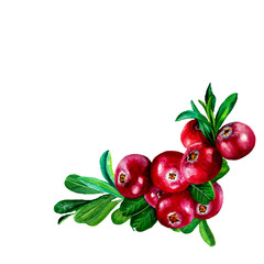  watercolor composition with red berries and green leaves