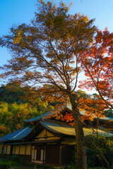 紅葉と鎌倉の街並み