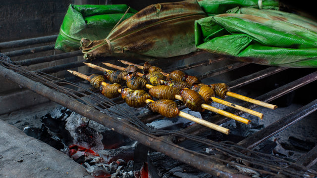 Chontacuros or Mayones (roasted worms) worms on a grill with burning pieces of coal