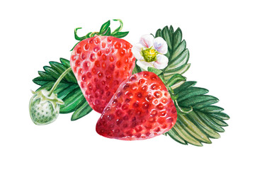 Watercolor red juicy strawberries with leaves. Hand drawn food illustration. Fruit print. For postcards, packages, cards, logo, pattern, label, desserts. Summer sweet and bright fruits and berries.
