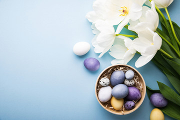 Naturally colorful dyed Easter eggs on blue background. Happy Easter holiday theme, banner