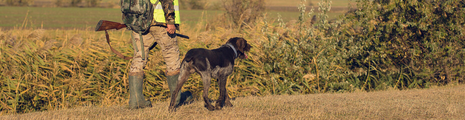 Hunters with a german drathaar and spaniel, pigeon hunting with dogs in reflective vests.
