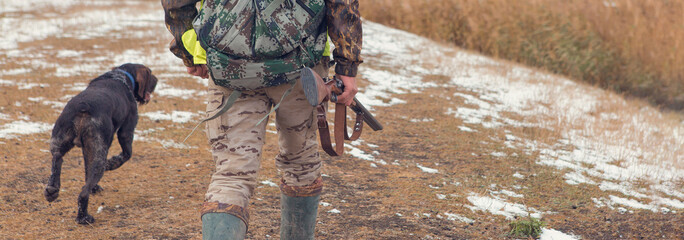 Hunters with a german drathaar and spaniel, pigeon hunting with dogs in reflective vests.