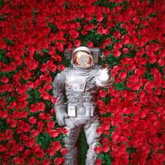 Red rose spaceman / 3D illustration of surreal science fiction scene with astronaut lying in field of bright flowers © grandeduc
