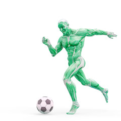 muscleman anatomy heroic body playing football in white background