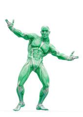 muscleman anatomy heroic body dancing pose two in white background