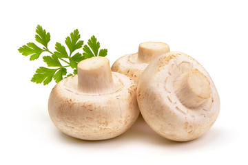 Champignon mushrooms, isolated on white background