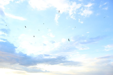 Flying around