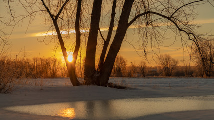 sunset in winter forest