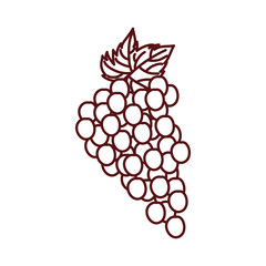 grapes fresh fruits isolated icon