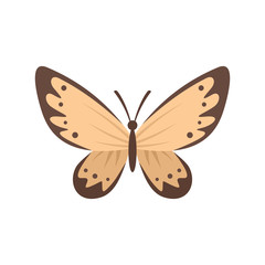 Gentle butterfly flat icon. Vector gentle butterfly in flat style isolated on white background. Element for web, game and advertising