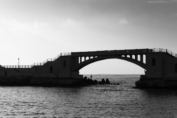 Fototapeta na wymiar Black and white landscape with Montazah bridge