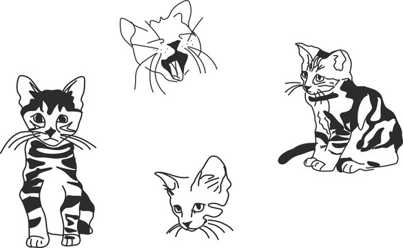 Sketch, kitten in black and white stripes in different positions. Suitable for emblem, symbol, pattern on t-shirt and fabric, stickers, coloring, notebook