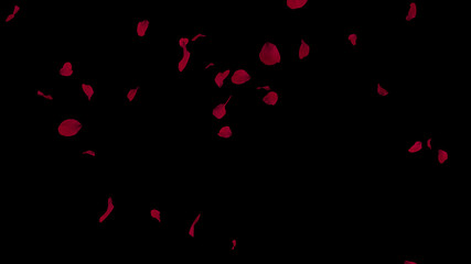 Fototapeta na wymiar Romantic flying red rose petals. God for St. Valentine's Day, Mother's Day, wedding or etc. 3d rendering.