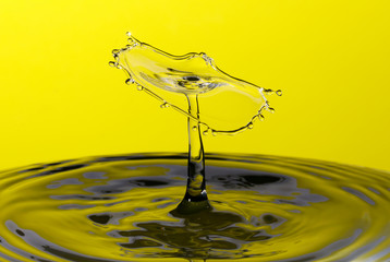 Abstract photograph of a water drop collision created with two water drops splashing together...