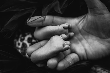 mano de adulto y pies de bebe