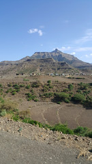 flora and environment in Lalibela