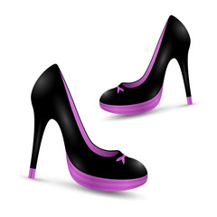 elegant woman's high heel shoes