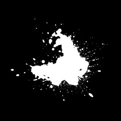 Obraz premium Grunge splatter. Paint splash. Liquid stain. Highly detailed grunge texture. Paint stain. Ink spot. Drop. Abstract frame. Grunge background.