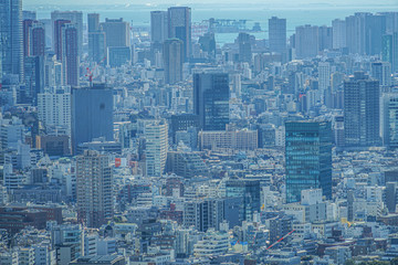 Fototapeta na wymiar 東京都庁の展望台から見える東京の街並み
