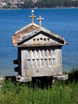 H&Oacute;RREO EN COMBARRO, GALICIA