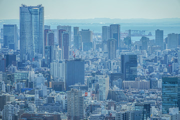Naklejka na ściany i meble 東京都庁の展望台から見える東京の街並み