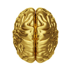 Gold model of human brain isolated on white background. 3d illustration.