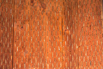 Bottom view of Spanish threshing board closeup as rural wooden background