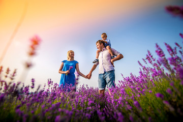 A happy family with a little boy walks and plays on a beautiful lavender field. Family, vacation