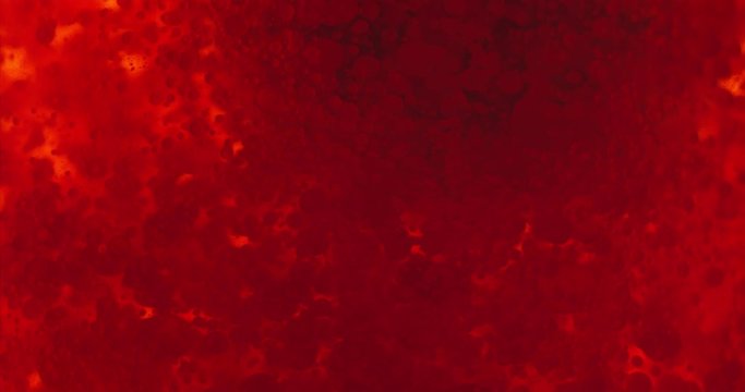 Small red blood cells in fluid