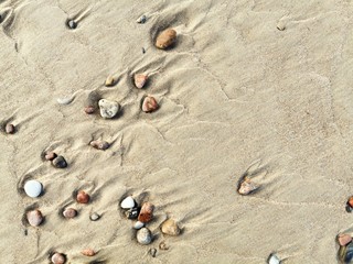 Close-up of wet sand with pebbles. Baltic Sea coast. 