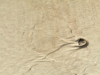 Fototapeta na wymiar Close-up of wet sand with single pebble. Baltic Sea coast. 