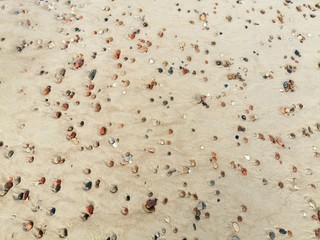 Close-up of wet sand with pebbles. Baltic Sea coast. 