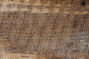 Fototapeta premium Surface of the old wooden planks oak. Wood background
