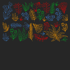 Hand vector drawn floral, leaves elements. Pattern for logo, greeting card, wedding design.