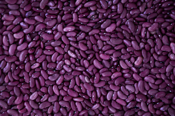 Close up purple beans background, purple beans seeds