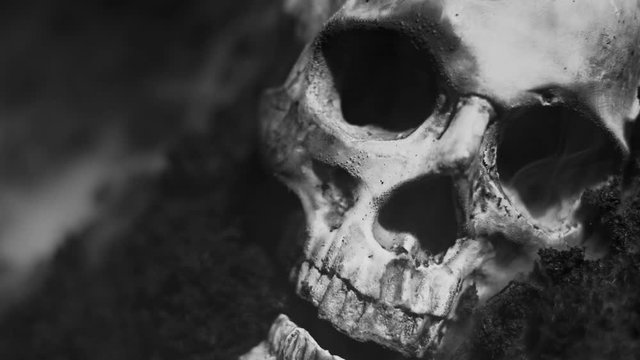 Human skull on the wet soild with smoke flowing