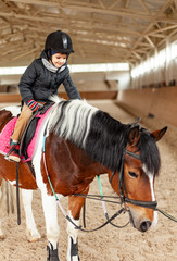 young jockey boy riding horse, horseback training on manege, lesson for young jockey in equestrian school or club, pet animal