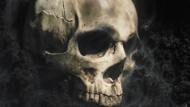 Human skull on the wet soild with smoke flowing