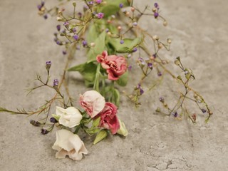 Getrocknete Blumen