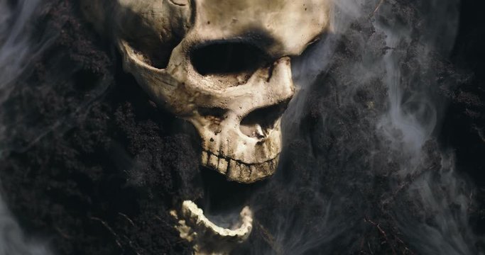 Human skull on the wet soild with smoke flowing