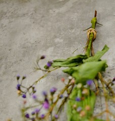 Gebundener Blumenstrauß