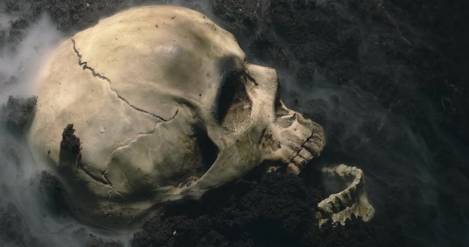 Human skull on the wet soild with smoke flowing
