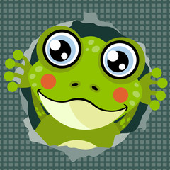 Cute frog going out of hole on wall