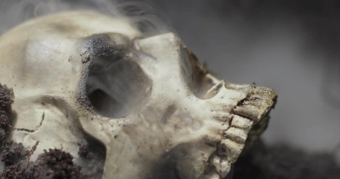 Human skull on the wet soild with smoke flowing